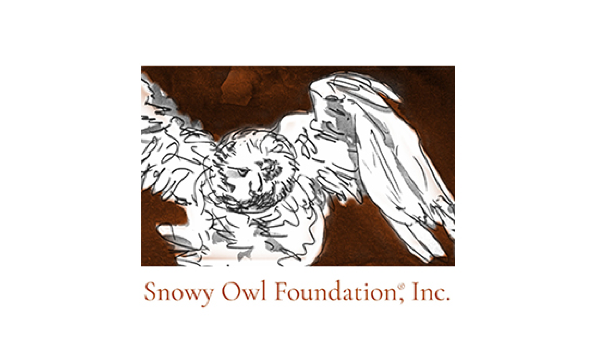 Snowy Owl Foundation
